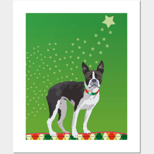 Meryl the Boston Terrier Posters and Art